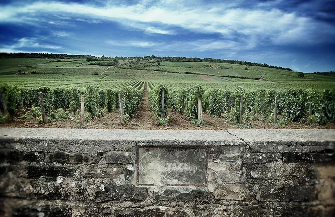 扫黑风暴|《扫黑风暴》中马帅收藏的两瓶大酒，到底是什么来头？看完长见识