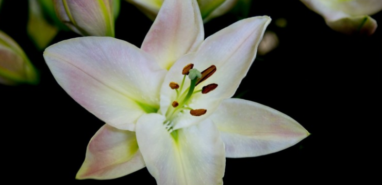 学历歧视|工作退休前的总结，职场上那些江湖规矩