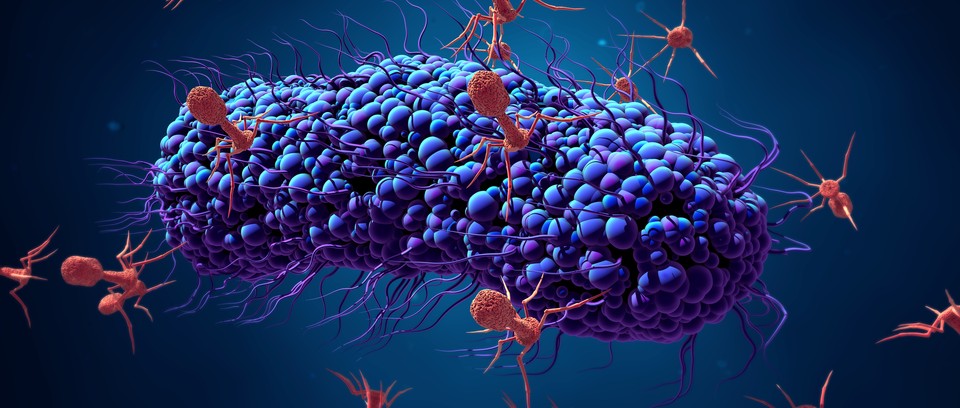 抗生素 杀菌病毒可以帮助我们战胜抗生素耐药性