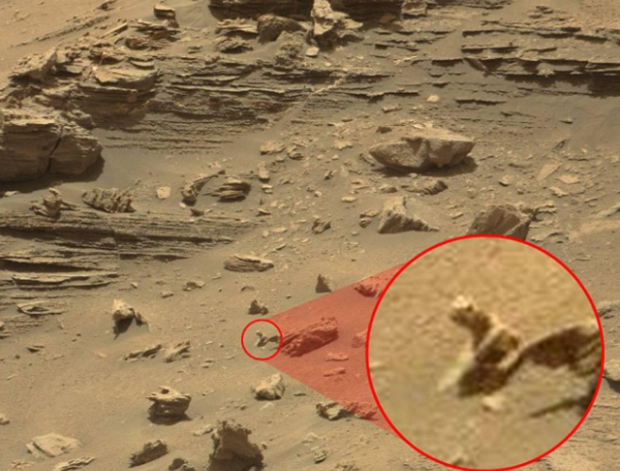 月球|机遇号在火星上拍到的“蜥蜴”，究竟是什么？火星上真有生命？