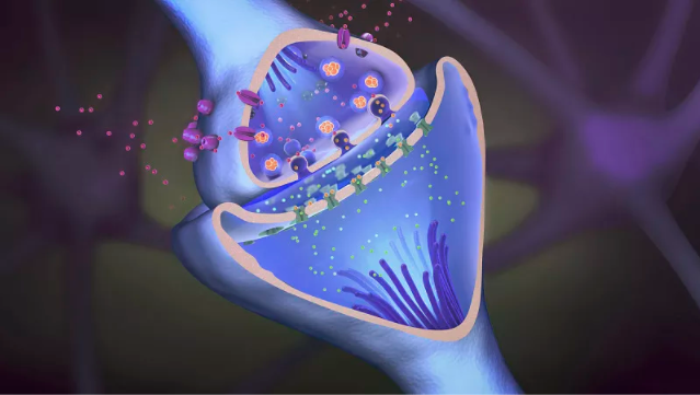 脱发|“帕金森能不能治好？”话题，真相却是如此，让人属实避之不及