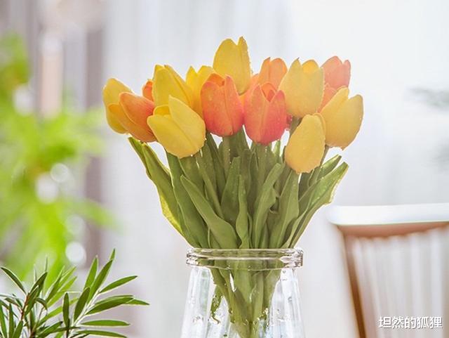 坦然的狐狸|能相伴到老的人,都会有这些爱的“痕迹”