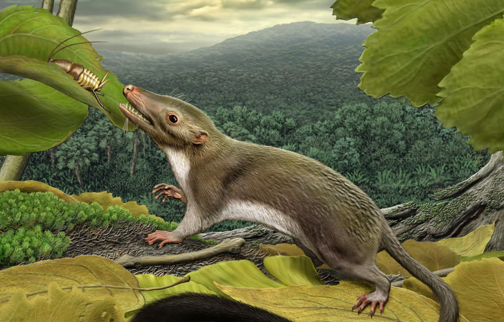 紫侠|地球霸主的退场！一场流星雨坠落地球，恐龙陆续灭亡