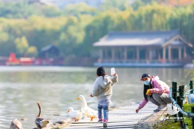 东南亚旅游|曲江初冬限定“色盘” 一眼就爱上