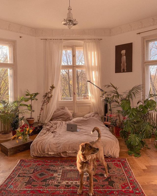 杂志|德国80后女主的精致一人居：这场面，那叫一个温暖治愈，悠闲自在