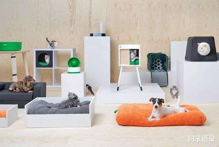 挖掘“宜家”家居小物,不到十块钱却能解决家居“痛点”,晒晒!