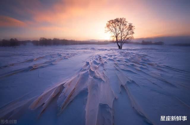 |在7月中旬,开个好头,福运满满,一切顺利的4大星座