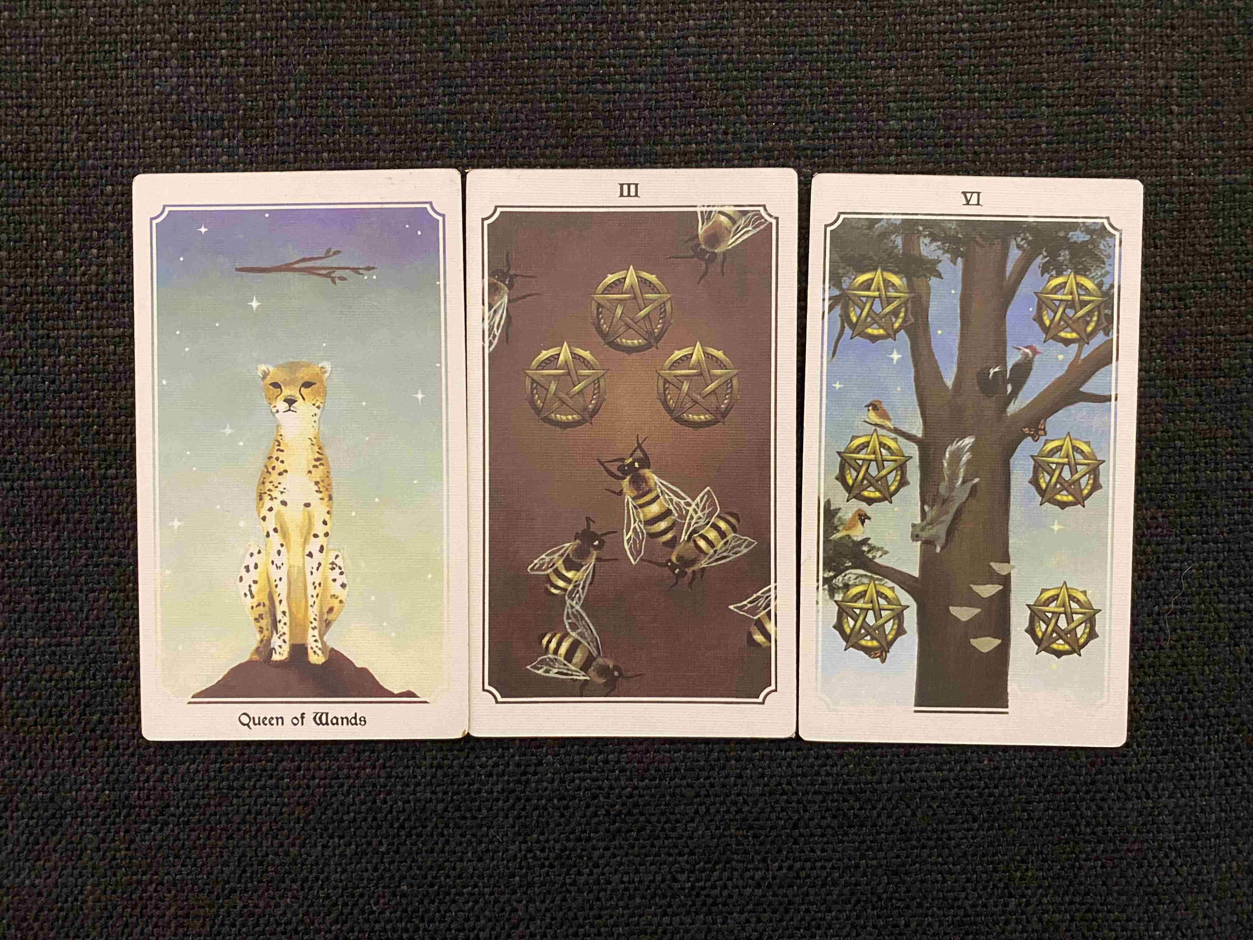 莫莫塔罗|莫莫塔罗，双鱼座8月运势：难以驾驭，被禁锢的情感