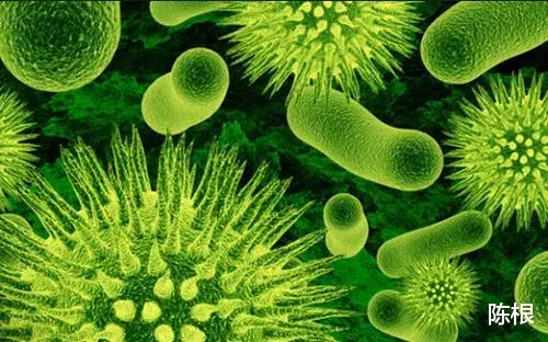 木卫二 陈根:细菌耐药性,还可能传染?