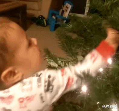 |和女老板一起去爬山，她总是走在我前面，莫名的有点慌啊哈哈哈！