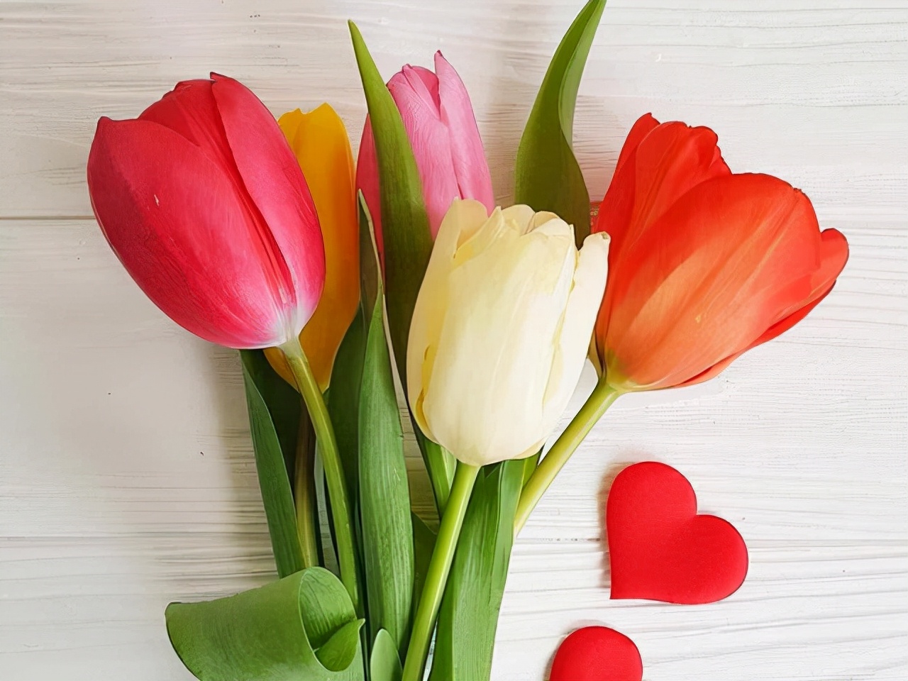 星座师安达 有傲骨、很难讨好他人的星座，不活在世俗的眼光下，追求本心