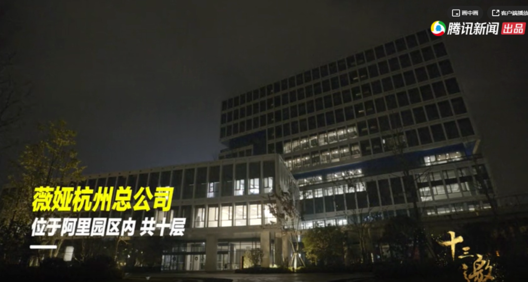 薇娅|一个主播，欲望缠身