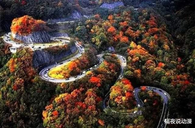 小舞|將《網球王子》變成《海賊王》的許斐剛，為何是“功德無量”的？