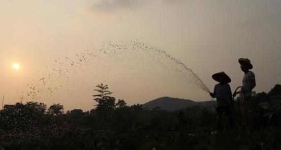 家中大小宝|美国宁愿赔钱也要出口粮食给中国，打得什么主意？终于找到答案