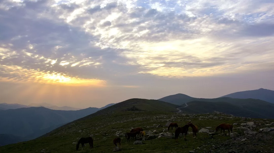 社会鉴赏 五台山里的小清新，终于上线喽！
