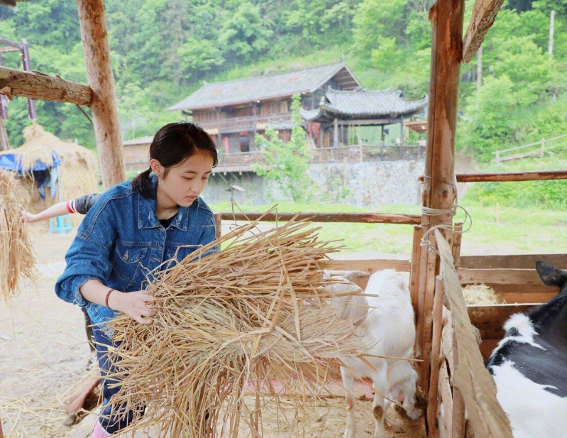 難怪選張子楓當常駐，《向往5》導演的要求，基本沒女藝人能做到-圖3