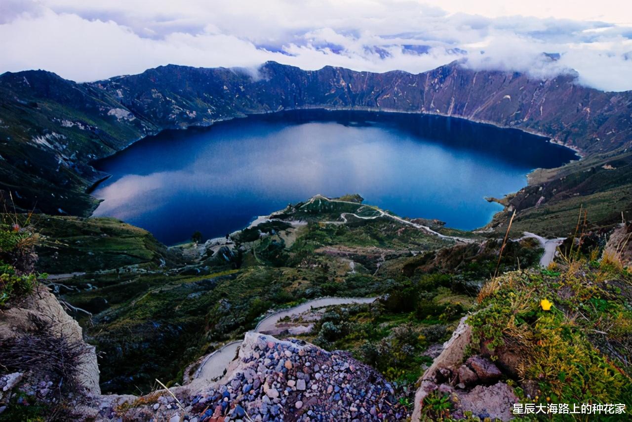 星辰大海路上的种花家 生命会自然产生吗？为什么随便挖个水塘，不久以后就会有鱼？