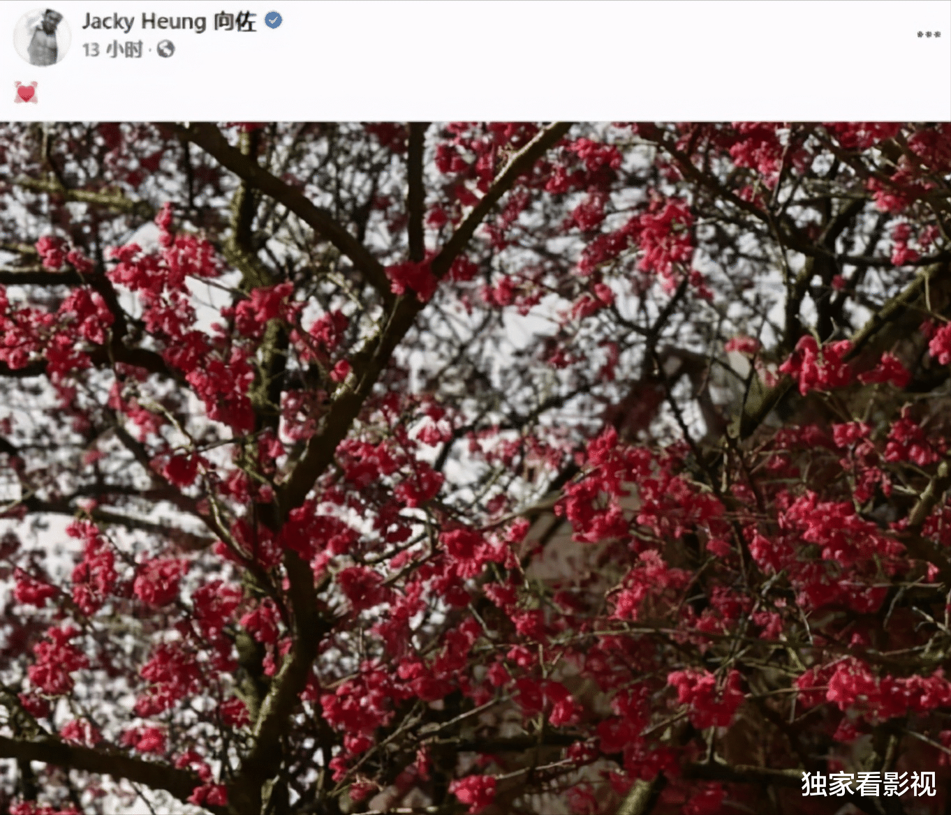 郭碧婷|郭碧婷初二回娘家？女儿露正脸，父亲晒照却显家境与婆家差距太大