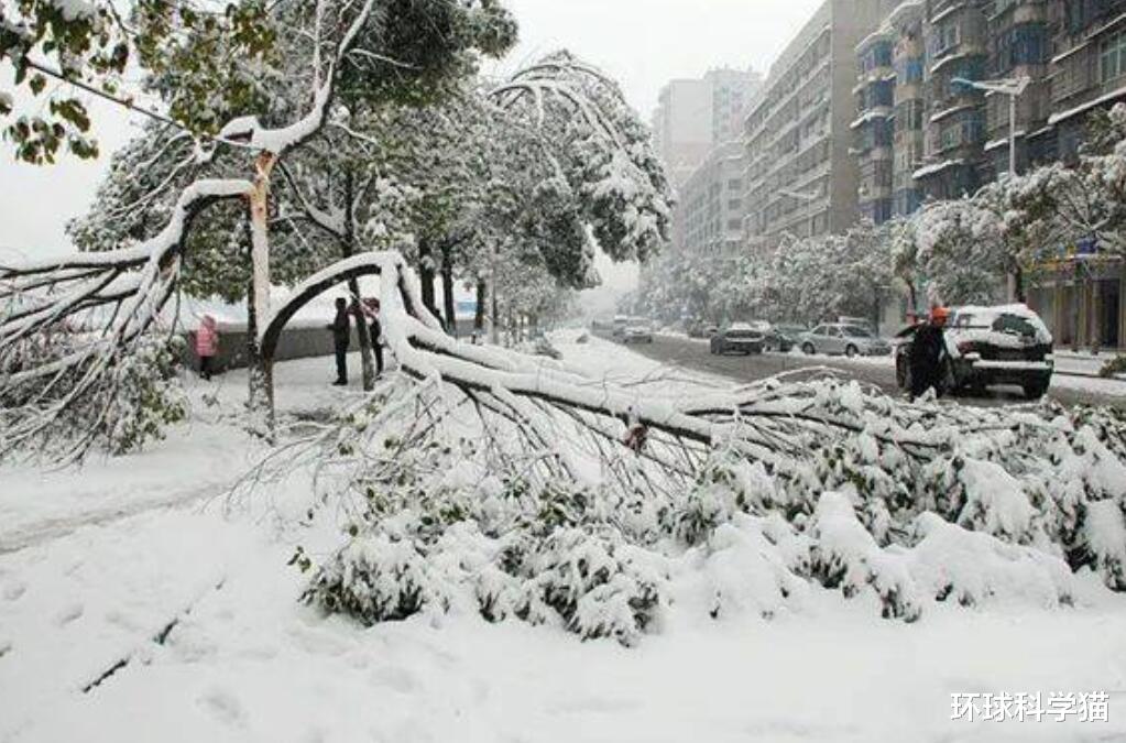 拉尼娜 2021年不平凡！今年有60年一遇寒冬？分析：拉尼娜重现或推动变冷