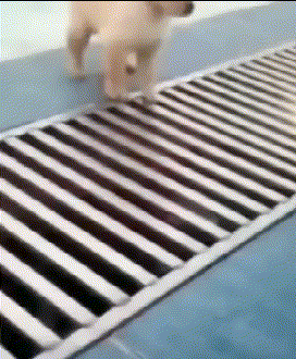 |“从领导办公室出来的女同事,这衣服怎么还穿反了?”