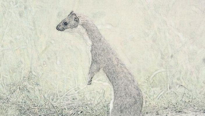 风云视角|民间故事：木匠借宿主家，发现主家吃血馒头，慌忙拿出墨斗