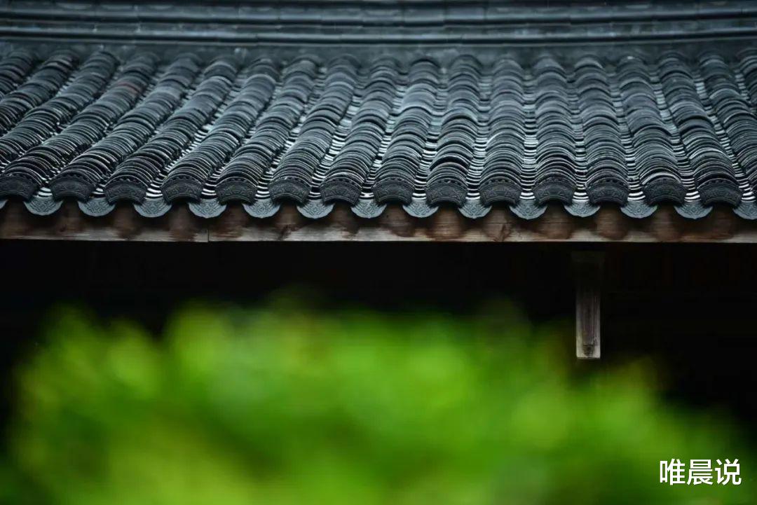 唯晨说|面对看不惯的人，无需翻脸，智者自有“妙招”