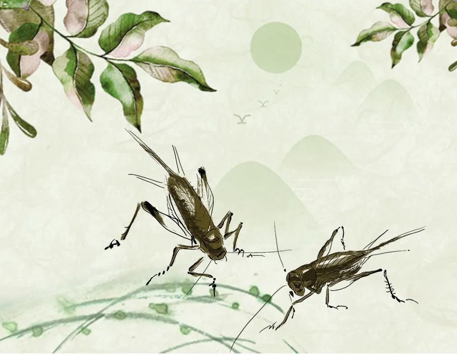 人与自然和谐共生教育:陆生动物(四)?