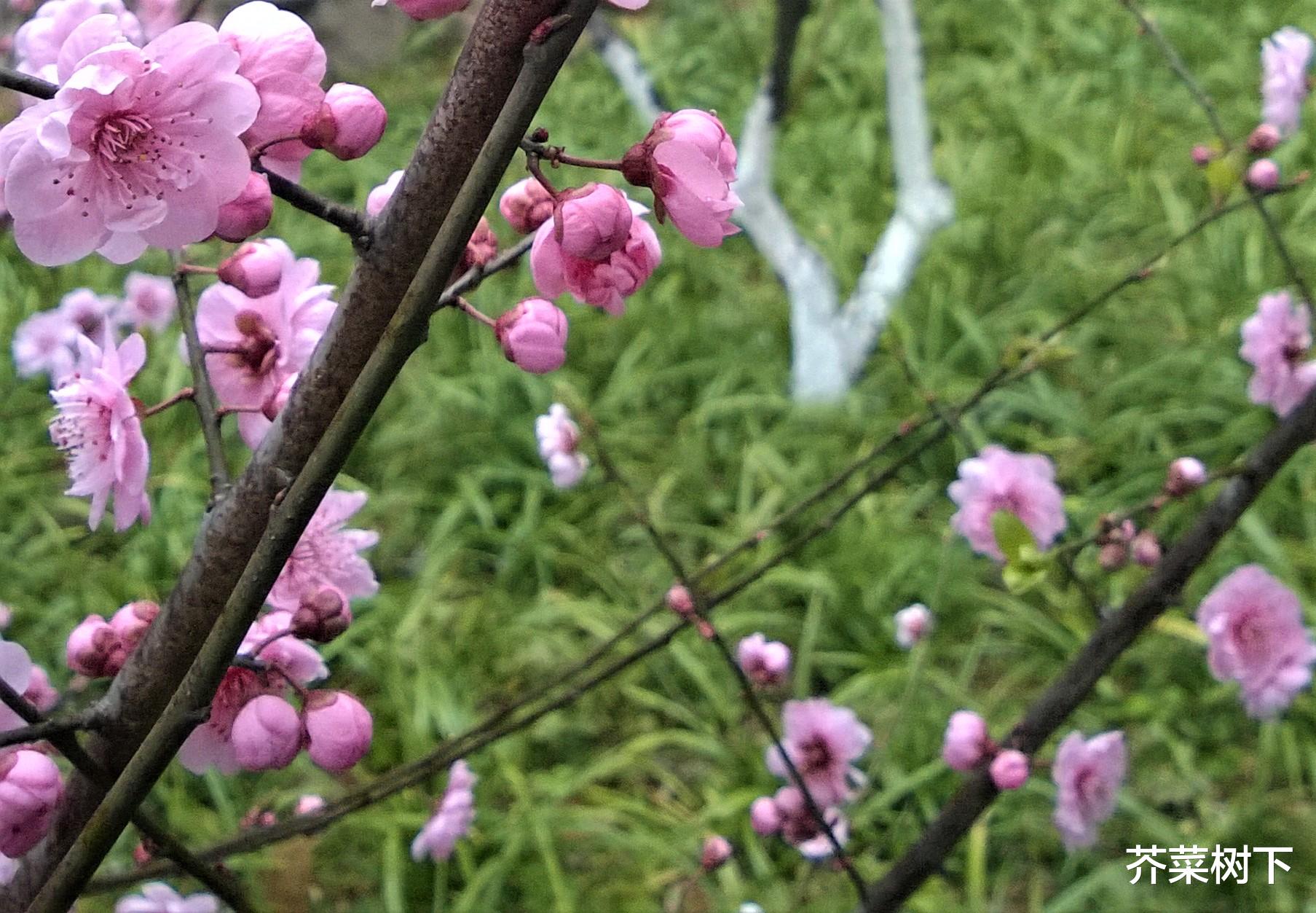 |职场如何「秀年轻」？勤动手
