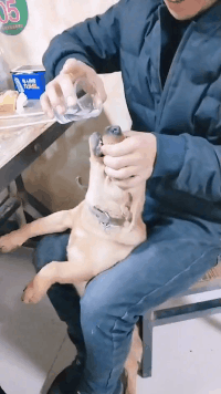 萌控孩|“小姐姐你这是什么打扮，牛仔短裤再套个丝袜，到底是冷还是热啊？”哈哈哈