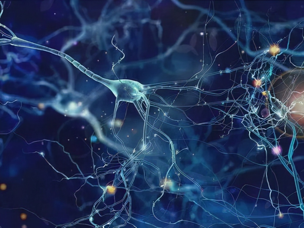 环球视野秘闻|宇宙有生命？科学家观察微观细胞后，发现宇宙或许另有乾坤！