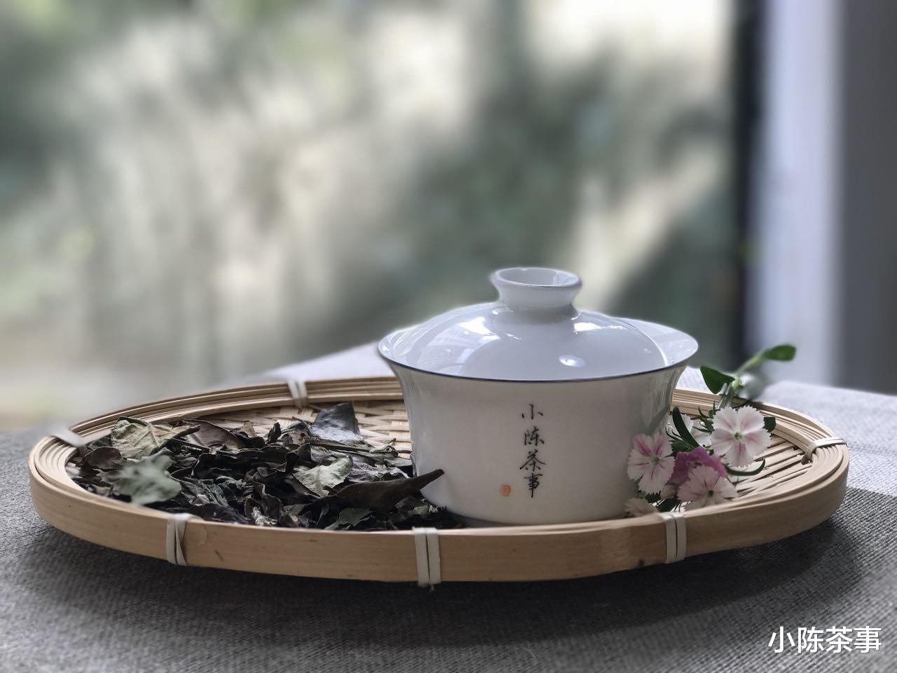 小陈茶事 粗枝大叶的老白茶、普洱、黑茶、岩茶耐泡，洗茶两遍也不会浪费？