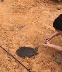 白鲢|盘点几个被鱼鄙视的瞬间，鱼：小老弟，你会钓鱼吗？