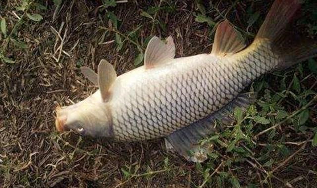 |冬季钓鱼，这4种晴天没鱼吃钩，不要去浪费时间！