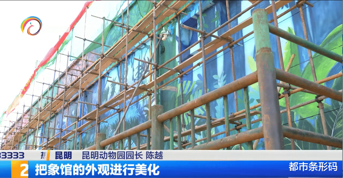 都市条形码 期待！  圆通山大象馆春节亮“盛装”