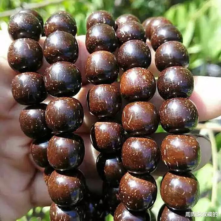 椰壳|椰壳与椰蒂的区别？