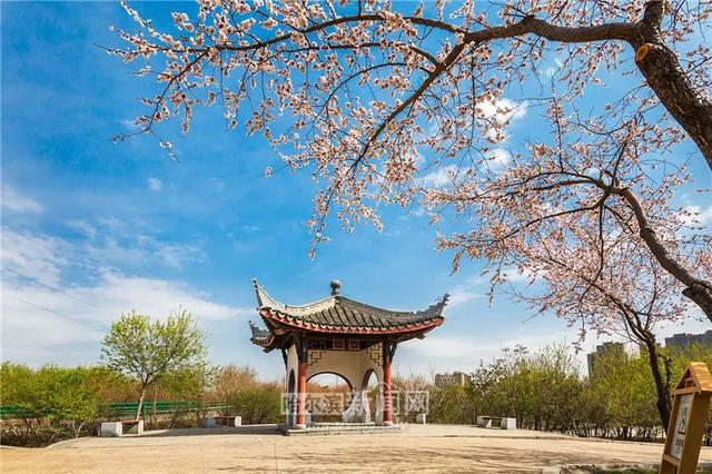 哈尔滨新闻网 好多美图｜景美人少不堵车，香坊10个免费大公园五一来逛逛