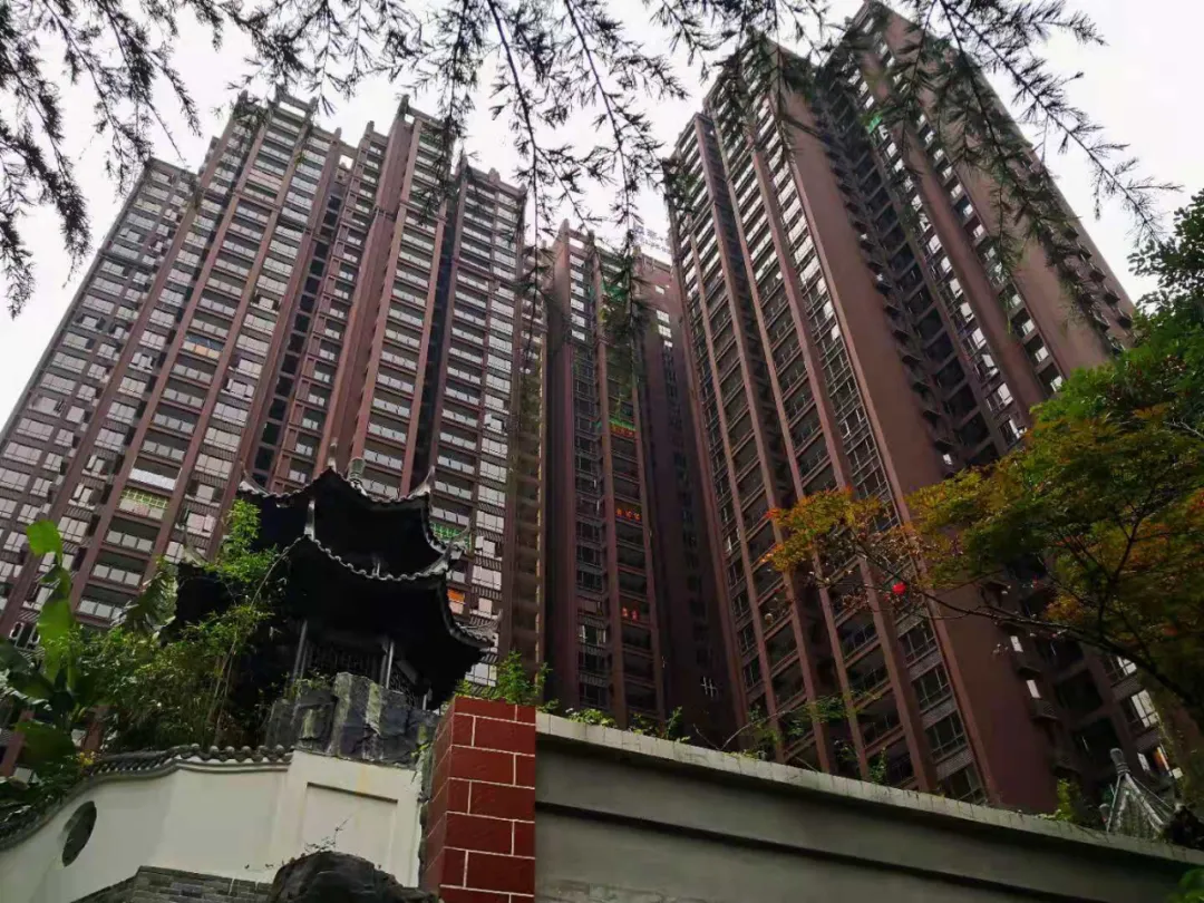 贵阳|贵阳楼市的“狼”回来了？