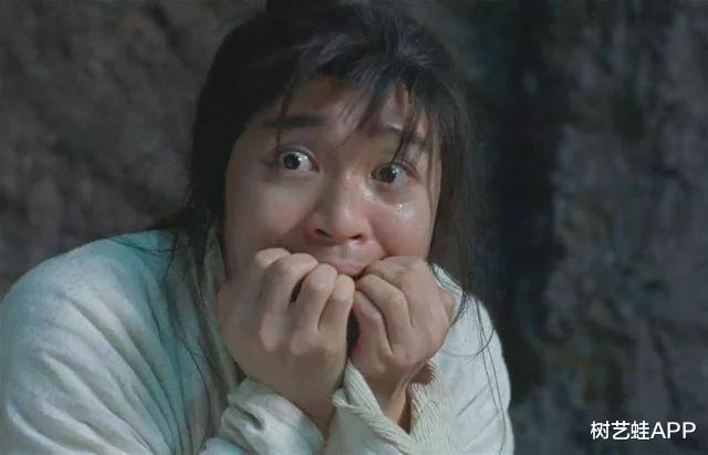 树艺蛙APP|活久见！北京动物园游客挑衅11只白虎，网友：禁效仿，须严惩！