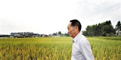 爱娃的学习谈 1973年,杂交水稻获得历史性突破,38年来,它对人类做出多大贡献