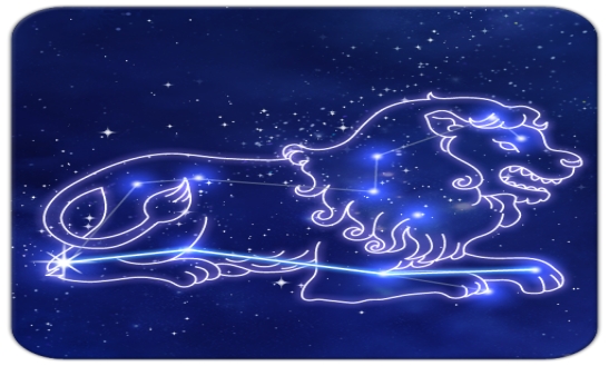 罗莉星座迷|事业心强偏执的狮子们,个性直爽,爱会让他截然不同