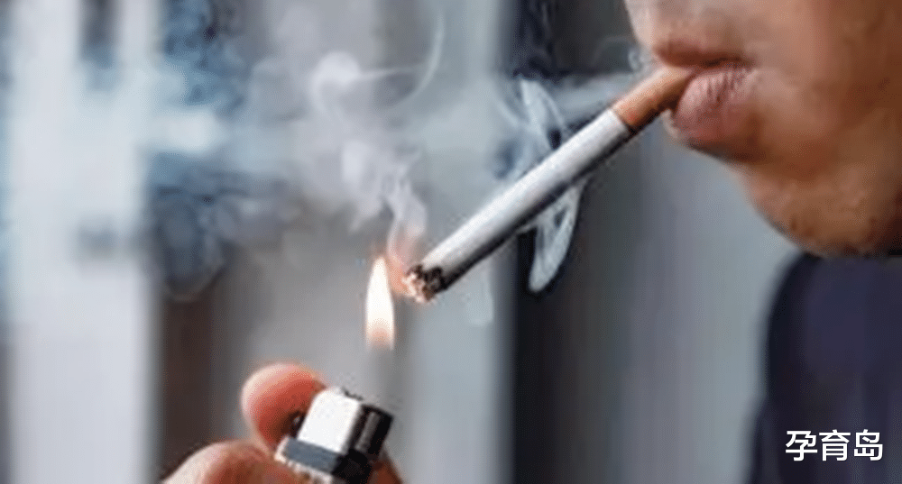 孕育岛|爸爸的年龄对宝宝有影响，想要宝宝更聪明，最佳怀孕年龄不要错过