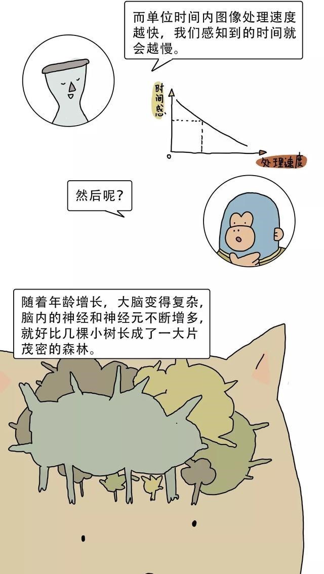漫画|为何年纪大了后，觉得时间过得越来越快了？一组漫画揭露「真相」