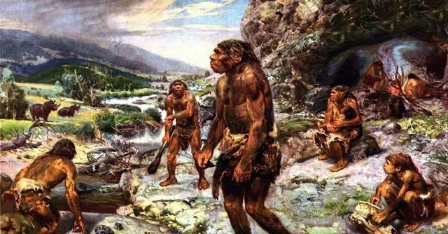 科学家 地球会出现第二人类文明？巴拿马猴学会石器生活，引科学界担忧