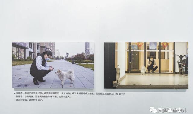 东丞侃天下 好想你，在武汉封城期间陪伴了我2个月……现在，你在哪？