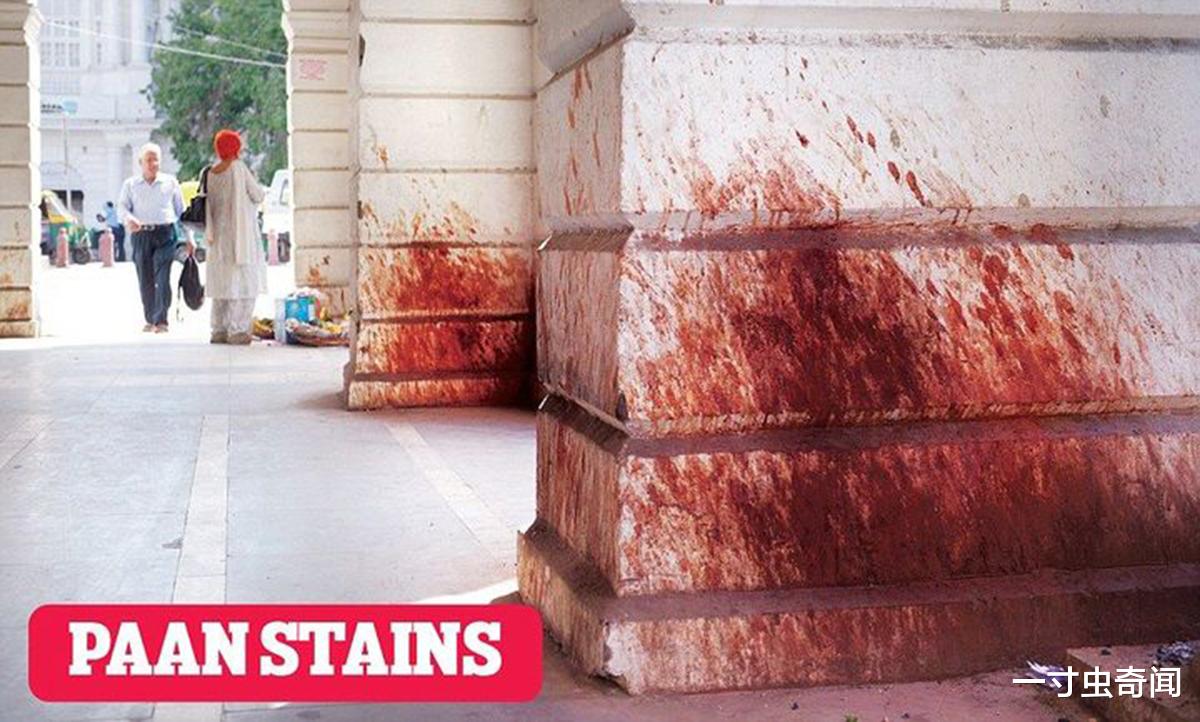 一寸虫奇闻|毒果肆虐:广电总局禁播槟榔广告,近亿人嚼食的槟榔,有何危害?