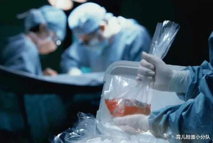 育儿排雷小分队|女婴天生半颗心脏,科学家冒险移植狒狒心脏救人,结局令人惋惜