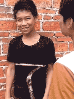 神回复 神回复：如果世界上所有的生物都开始反抗人类！人类可以支撑多久？