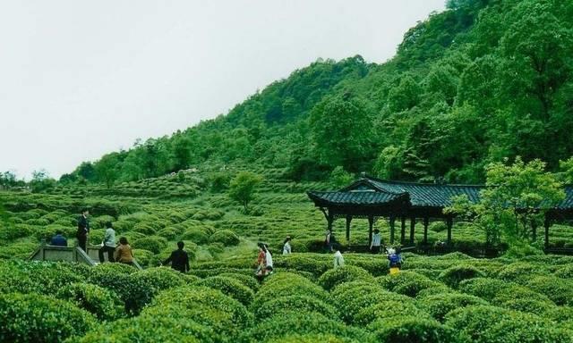刘争光说家居|四川有一个县市，年平均温度18度，避暑记得带羽绒服
