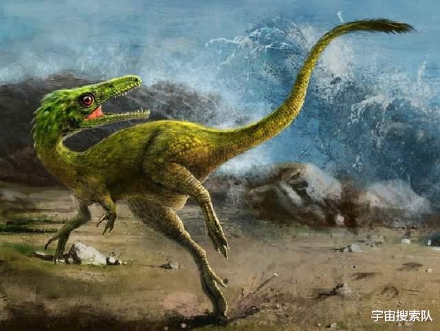 流星 如果地球人类消失不见，那么地球上会发生什么改变？