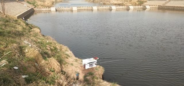 |钓鱼人有多“猛”？只因发了个视频，结果位置被“清塘”了